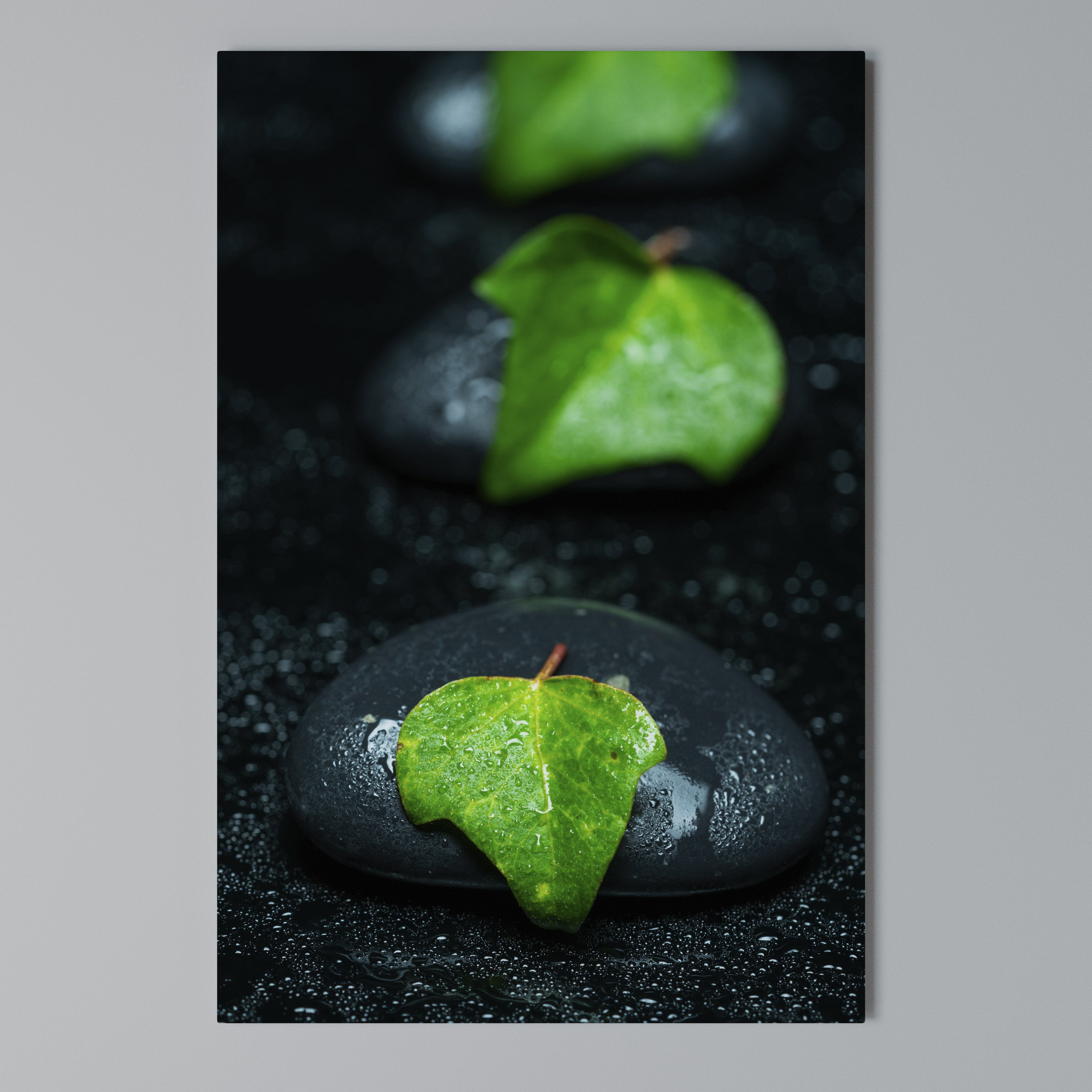 RAINDROPS ON STONE Κατακόρυφος Πίνακας σε Καμβά