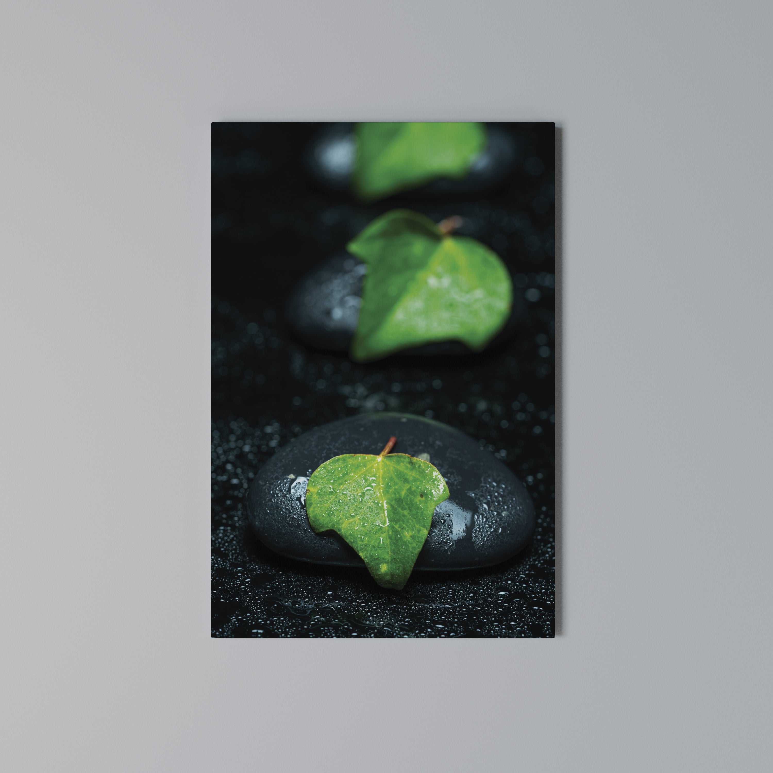 RAINDROPS ON STONE Κατακόρυφος Πίνακας σε Καμβά