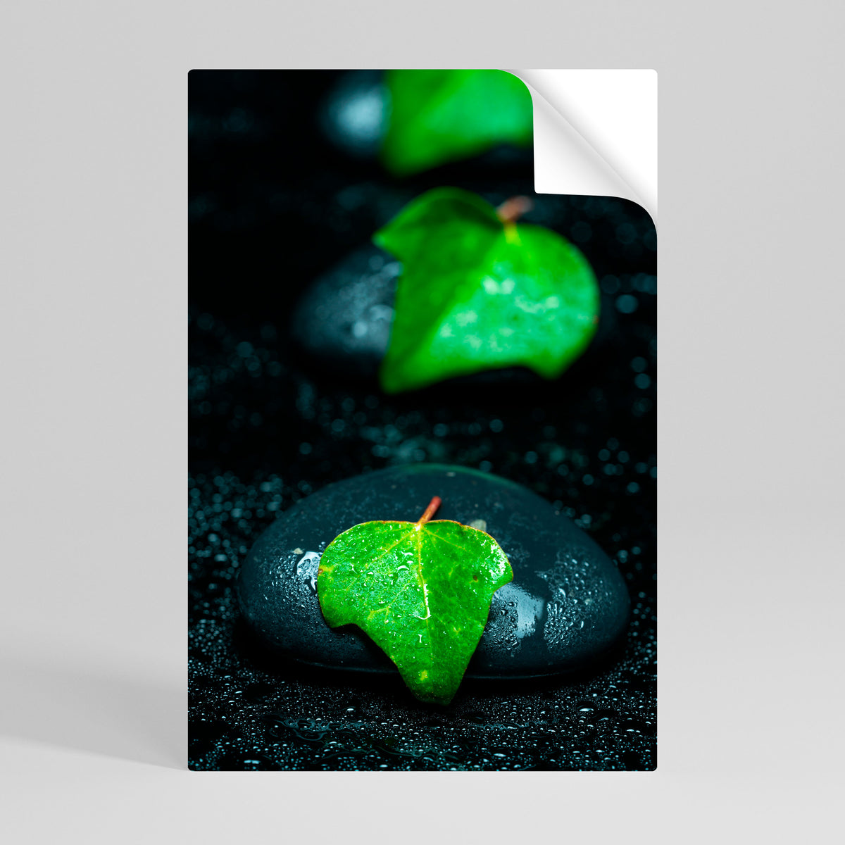 RAINDROPS ON STONE Αυτοκόλλητη Αφίσα κάθετη
