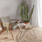 FLIGHT OF FANTASY Τραπεζάκι σαλονιού