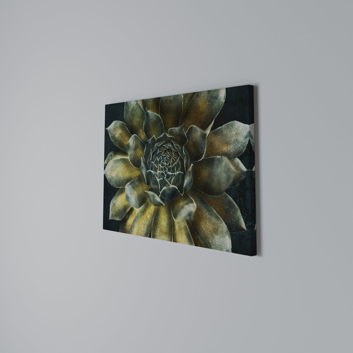 MYSTICAL SUCCULENT WHIRL Horizontal Canvas Print