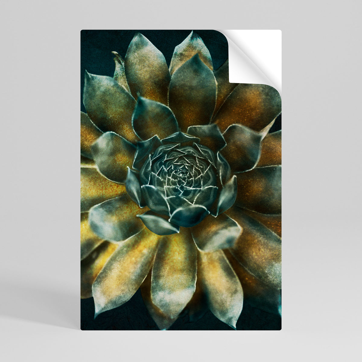 MYSTICAL SUCCULENT WHIRL Αυτοκόλλητη Αφίσα κάθετη
