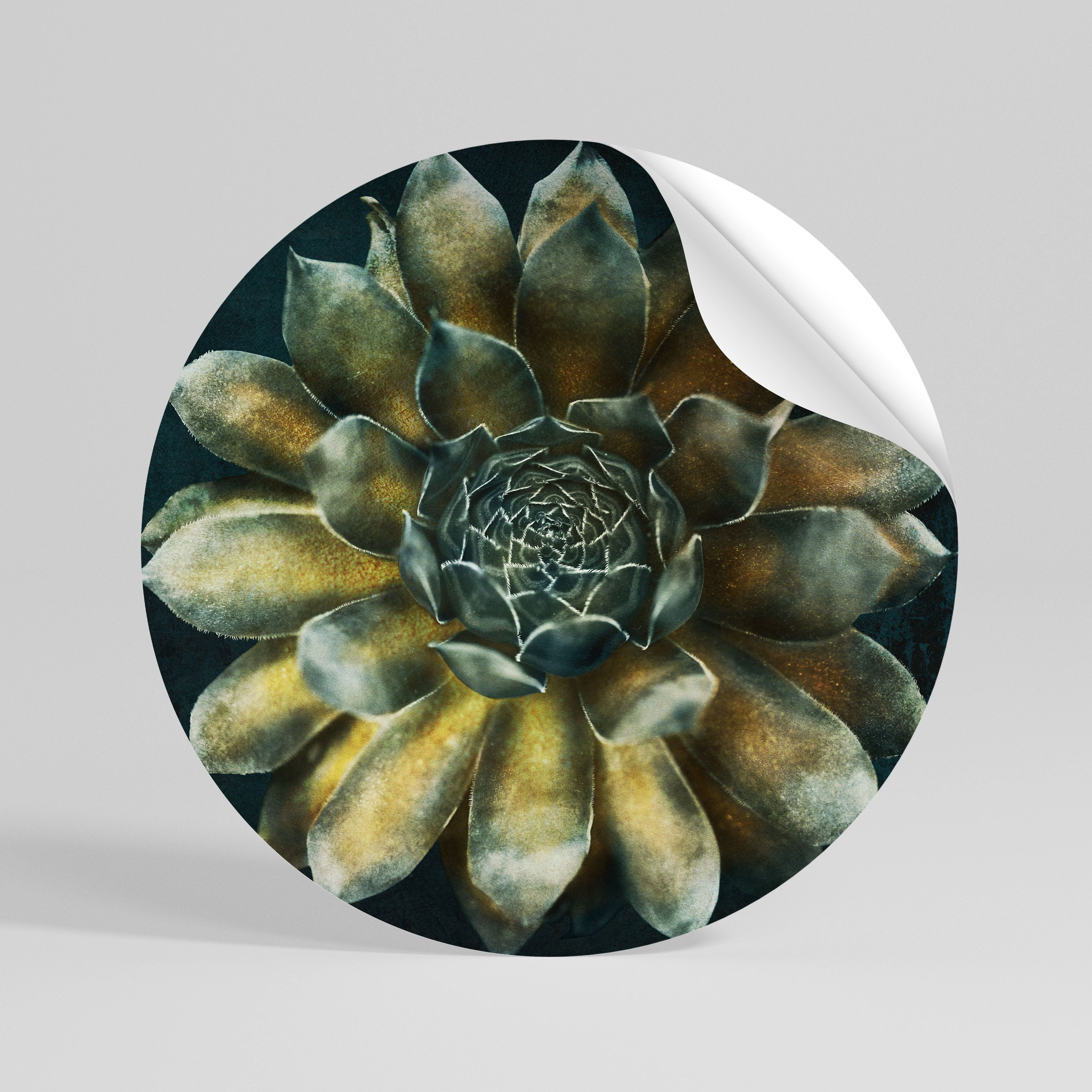 MYSTICAL SUCCULENT WHIRL Peel and Stick Round Sticker