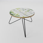 BIRCHY SOLACE Τραπεζάκι σαλονιού