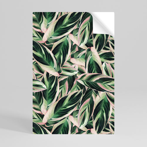 EERIE STROMANTHE Αυτοκόλλητη "Peel and Stick" Αφίσα κάθετη