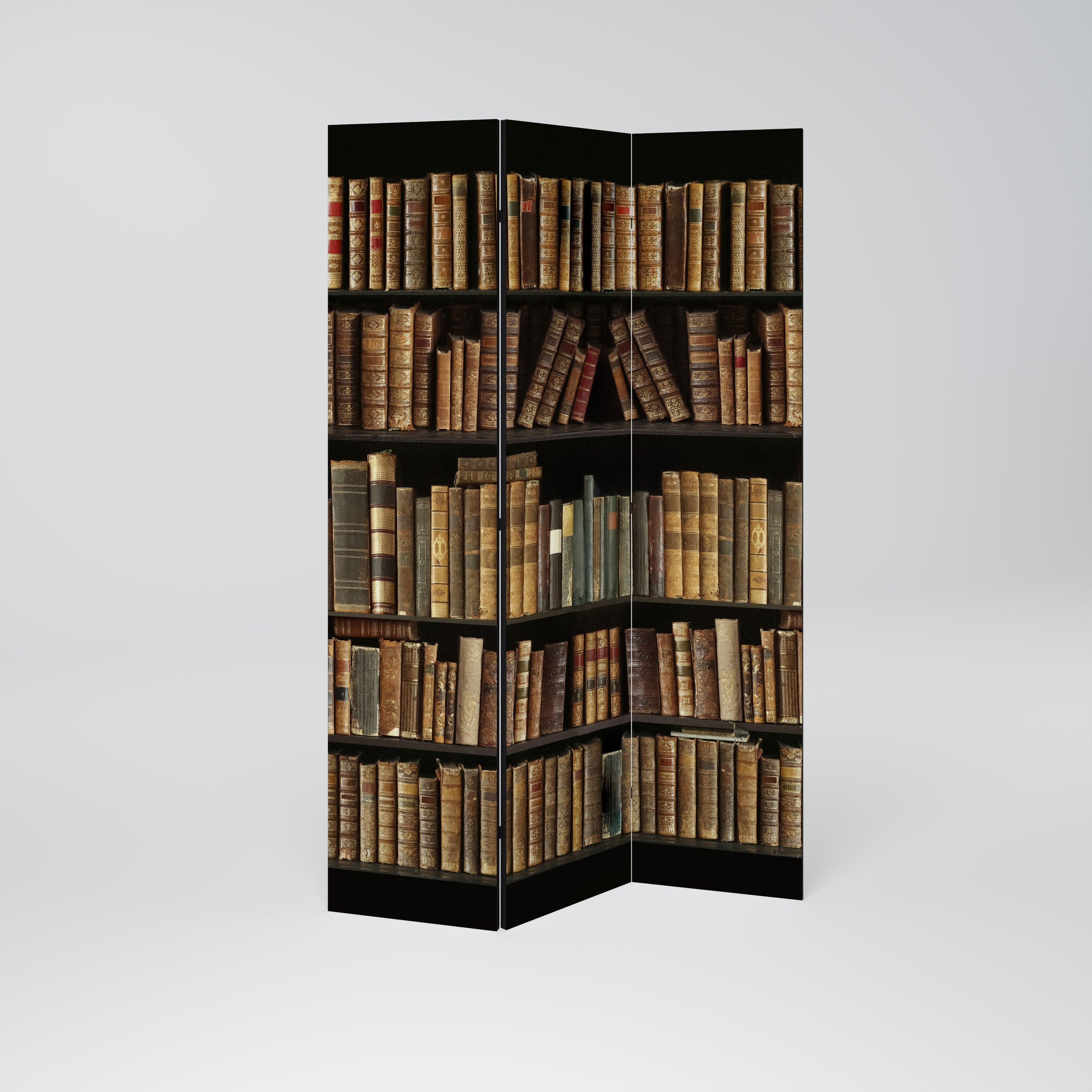 Διακοσμητικό διαχωριστικό δωματίου SHELVES OF TIME 3 πάνελ