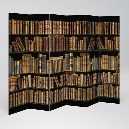 SHELVES OF TIME Παραβάν με 6 πάνελ