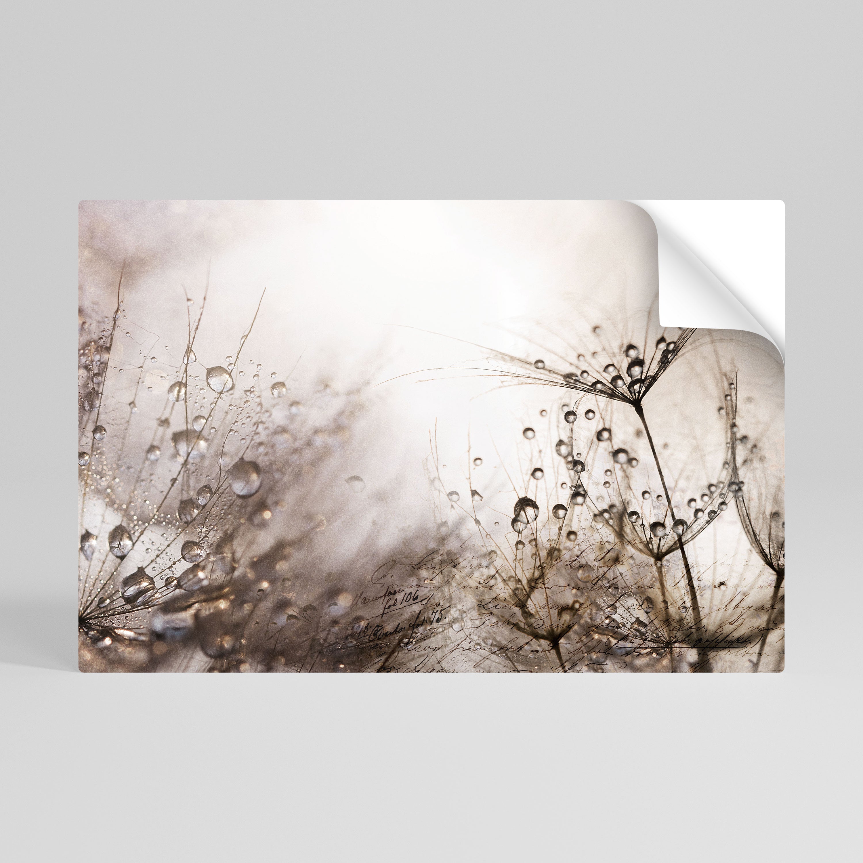 FLEETING DAWN Αυτοκόλλητη "Peel and Stick" Αφίσα οριζόντια