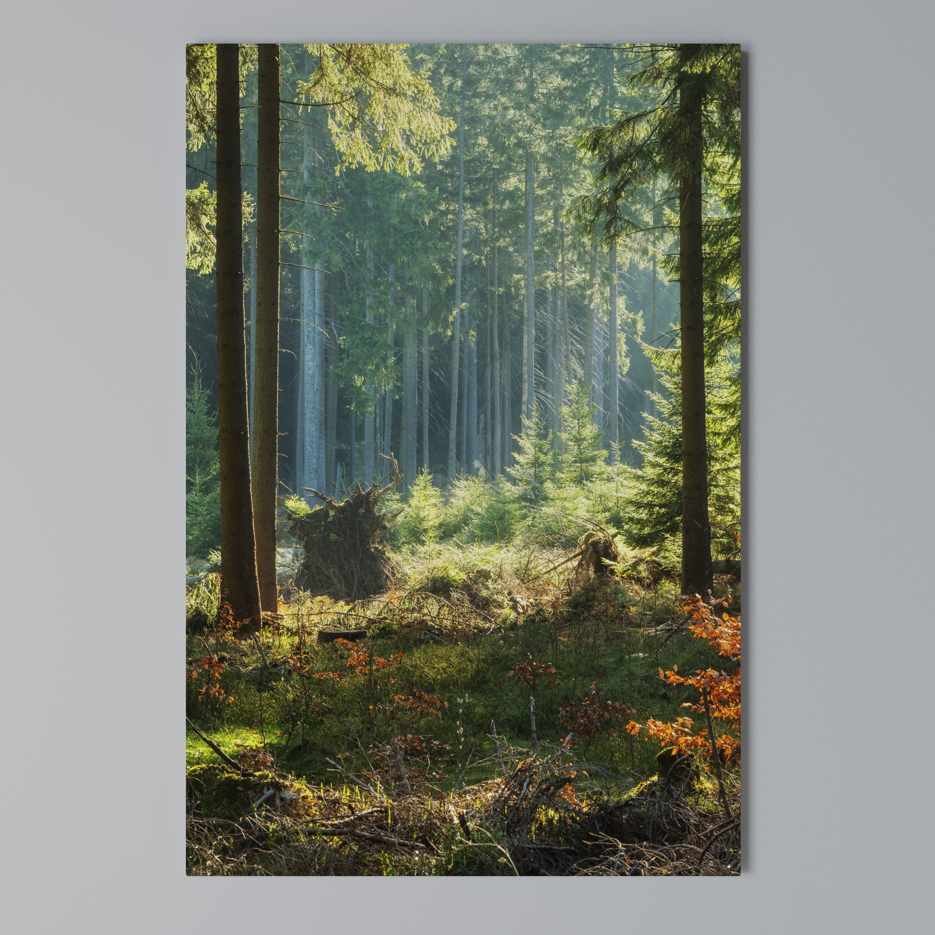 SUNLIT FOREST SERENADE Κατακόρυφος Πίνακας σε Καμβά