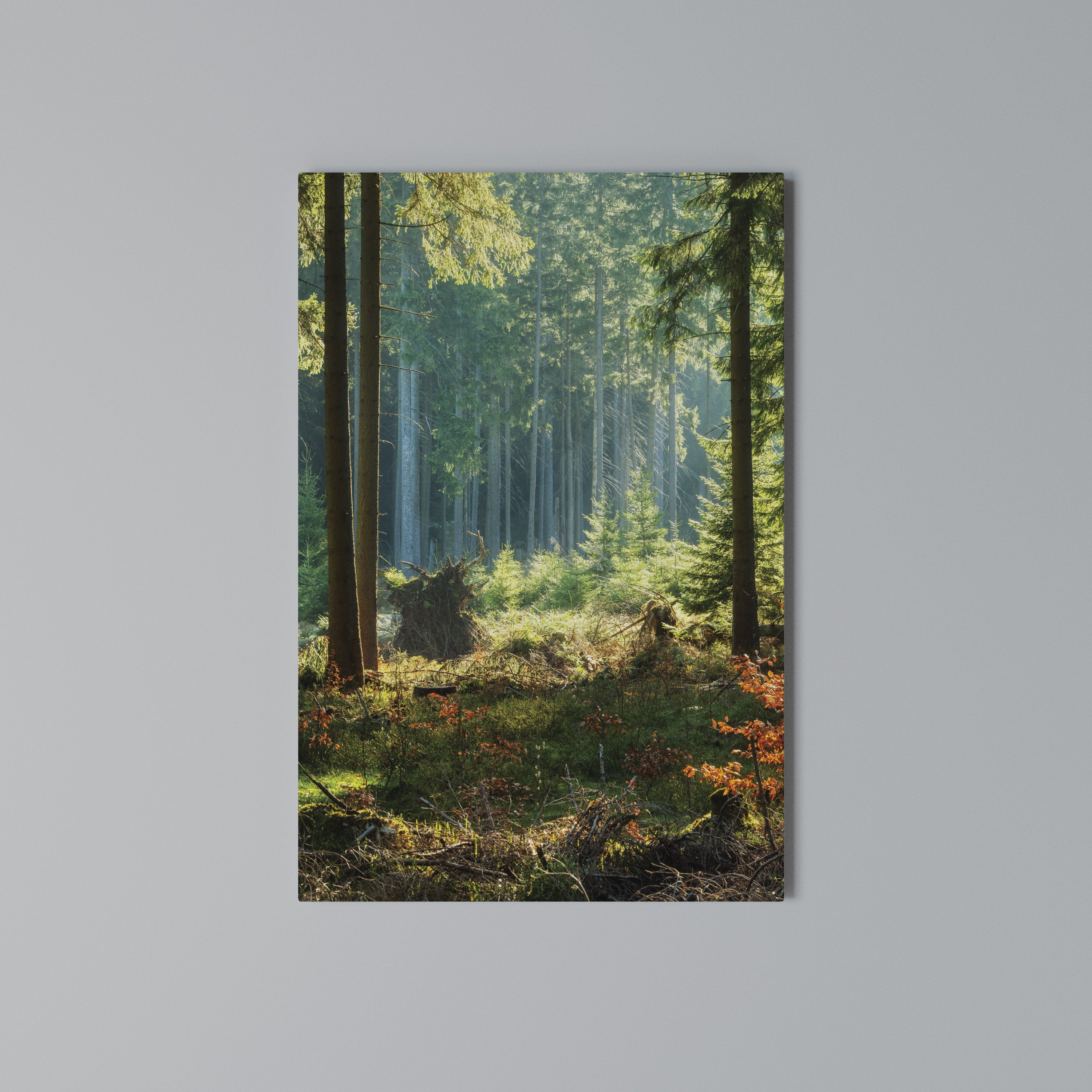 SUNLIT FOREST SERENADE Κατακόρυφος Πίνακας σε Καμβά