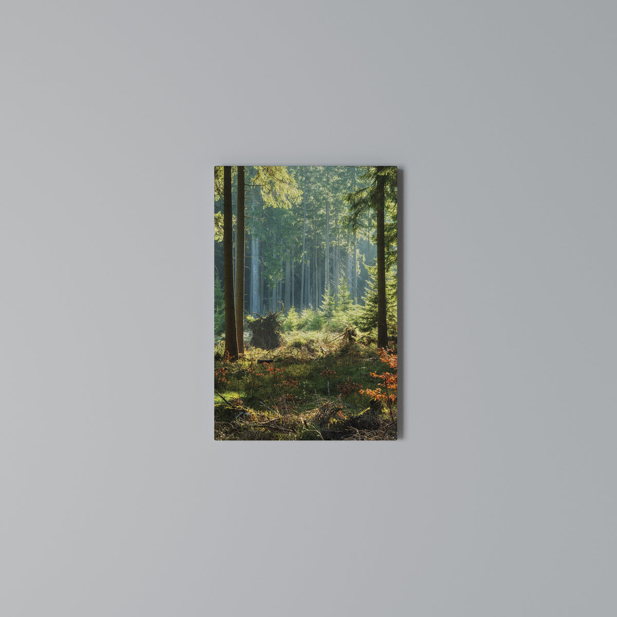SUNLIT FOREST SERENADE Κατακόρυφος Πίνακας σε Καμβά