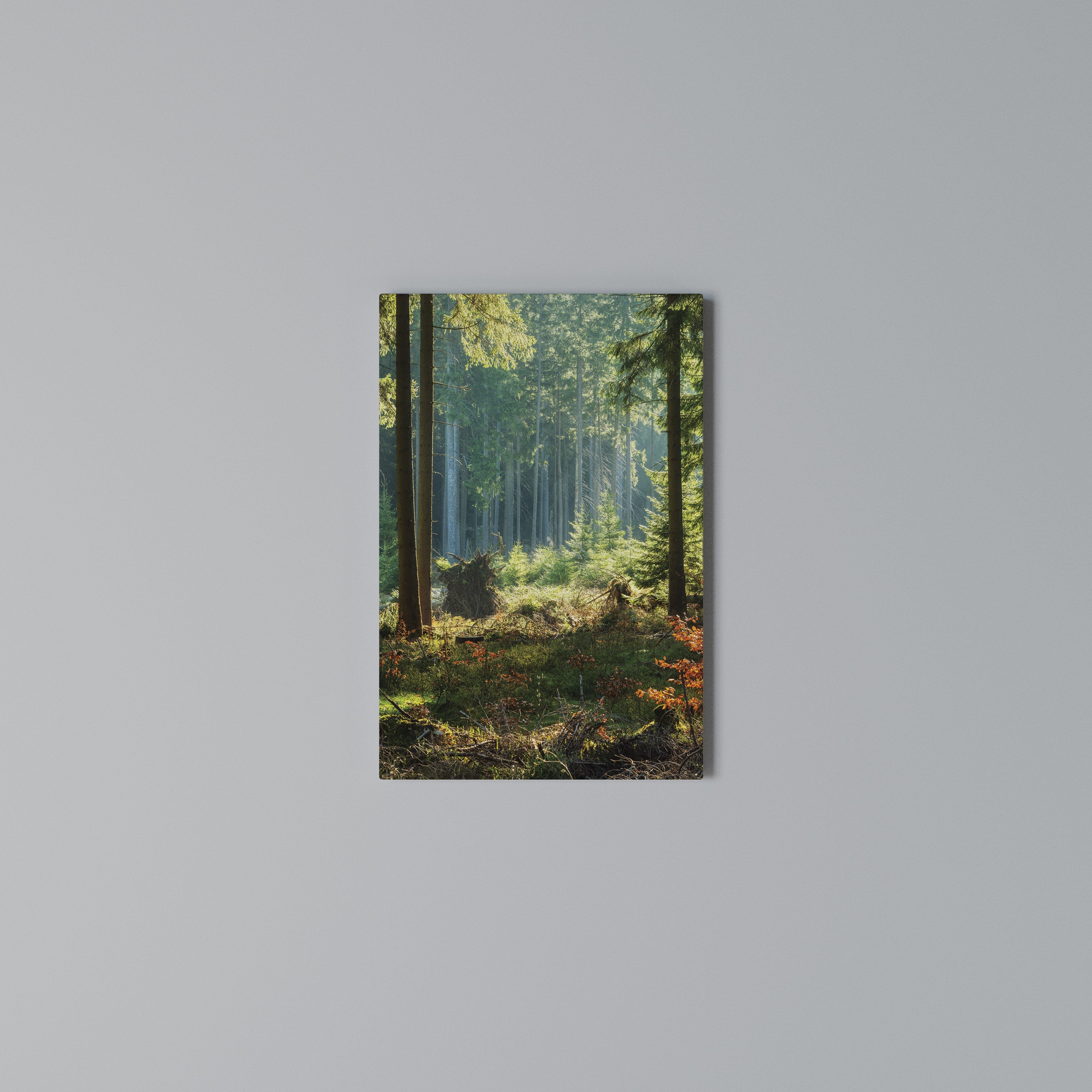 SUNLIT FOREST SERENADE Κατακόρυφος Πίνακας σε Καμβά