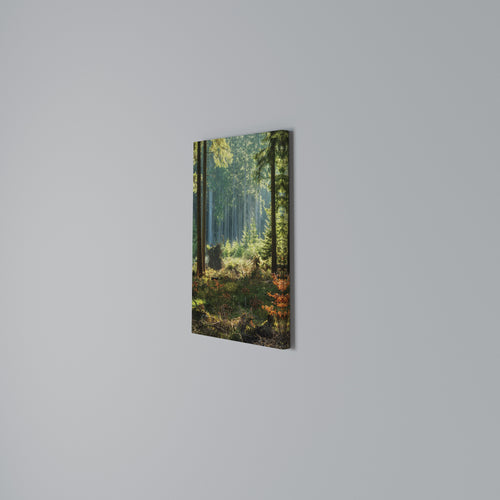 SUNLIT FOREST SERENADE Κατακόρυφος Πίνακας σε Καμβά
