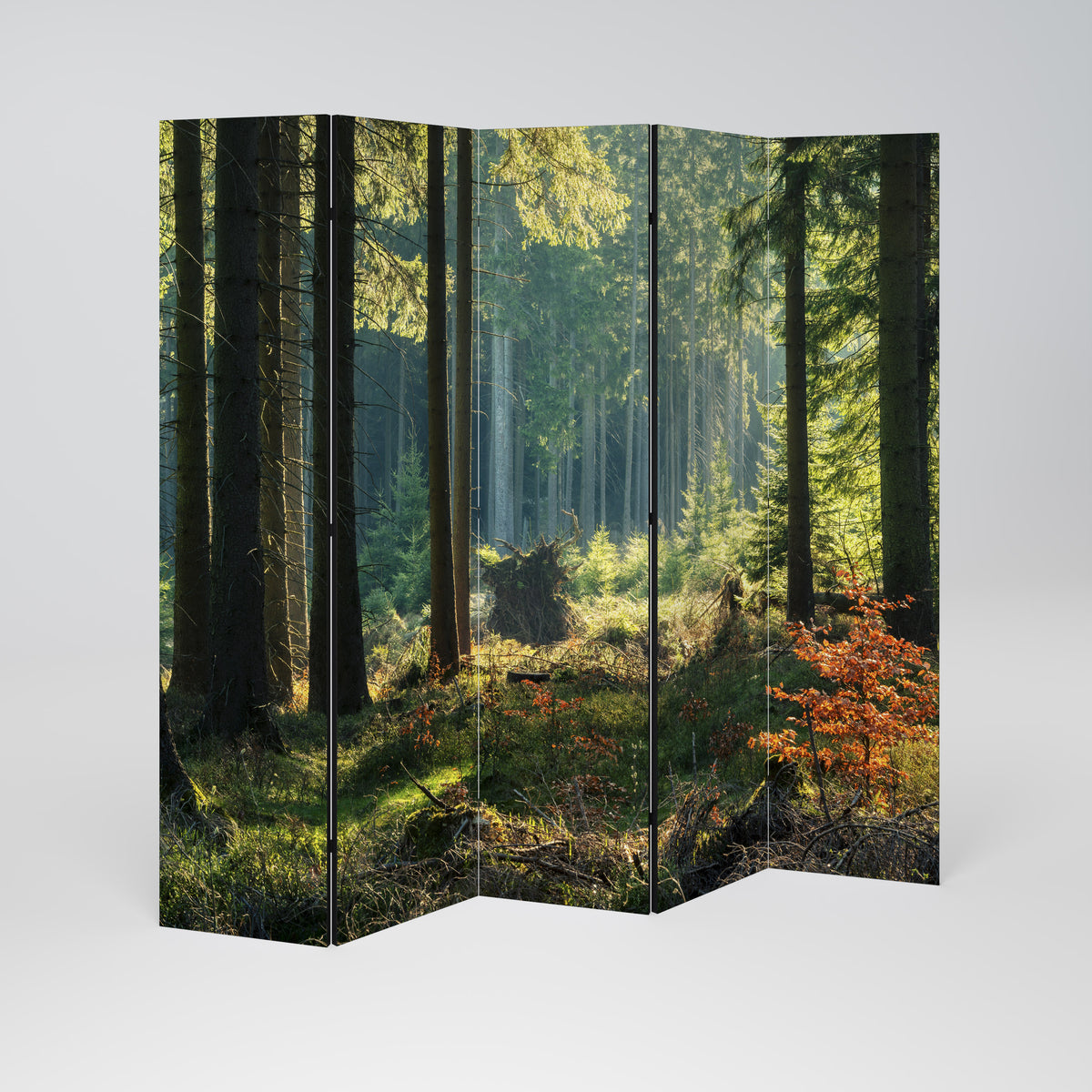 SUNLIT FOREST SERENADE Παραβάν με 5 πάνελ