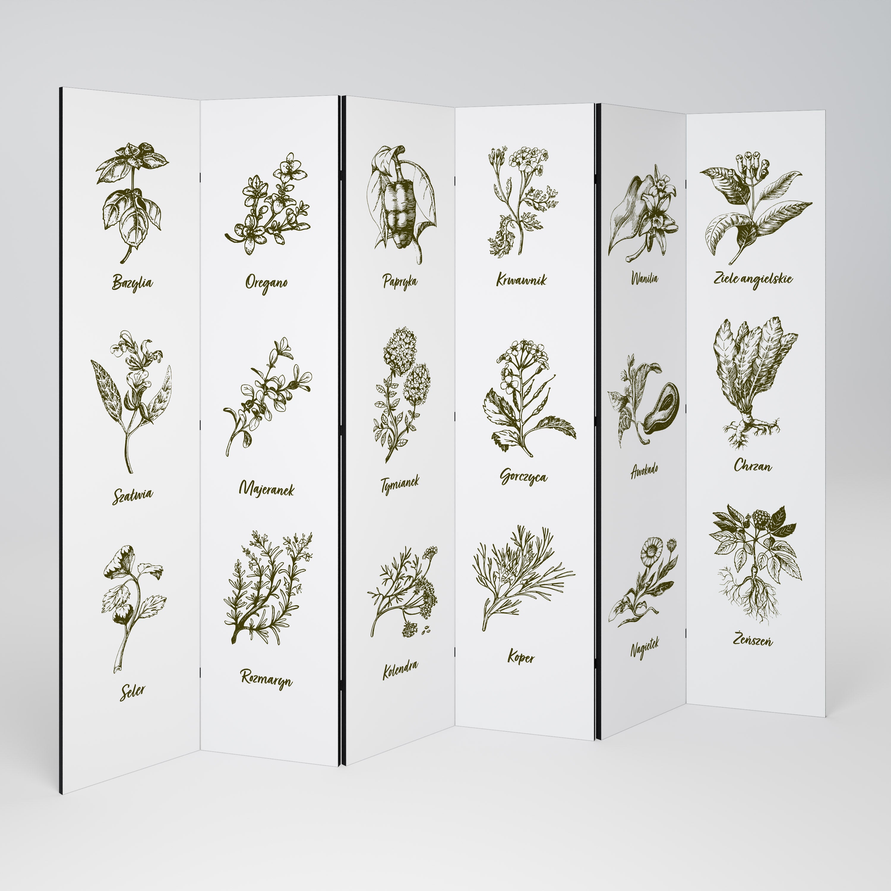 WHISPERS OF WILD HERBS Παραβάν με 6 πάνελ
