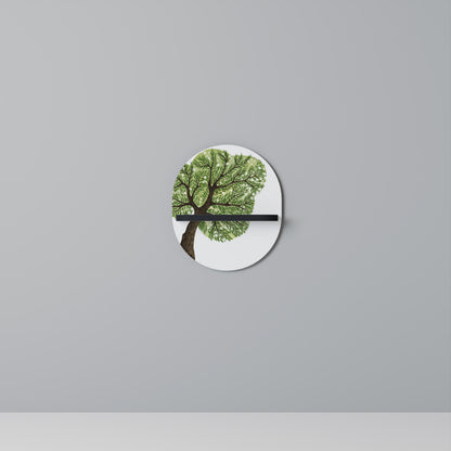 WILDERNESS DASH Art Shelf