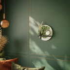 WILDERNESS DASH Art Shelf