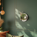 WILDERNESS DASH Art Shelf