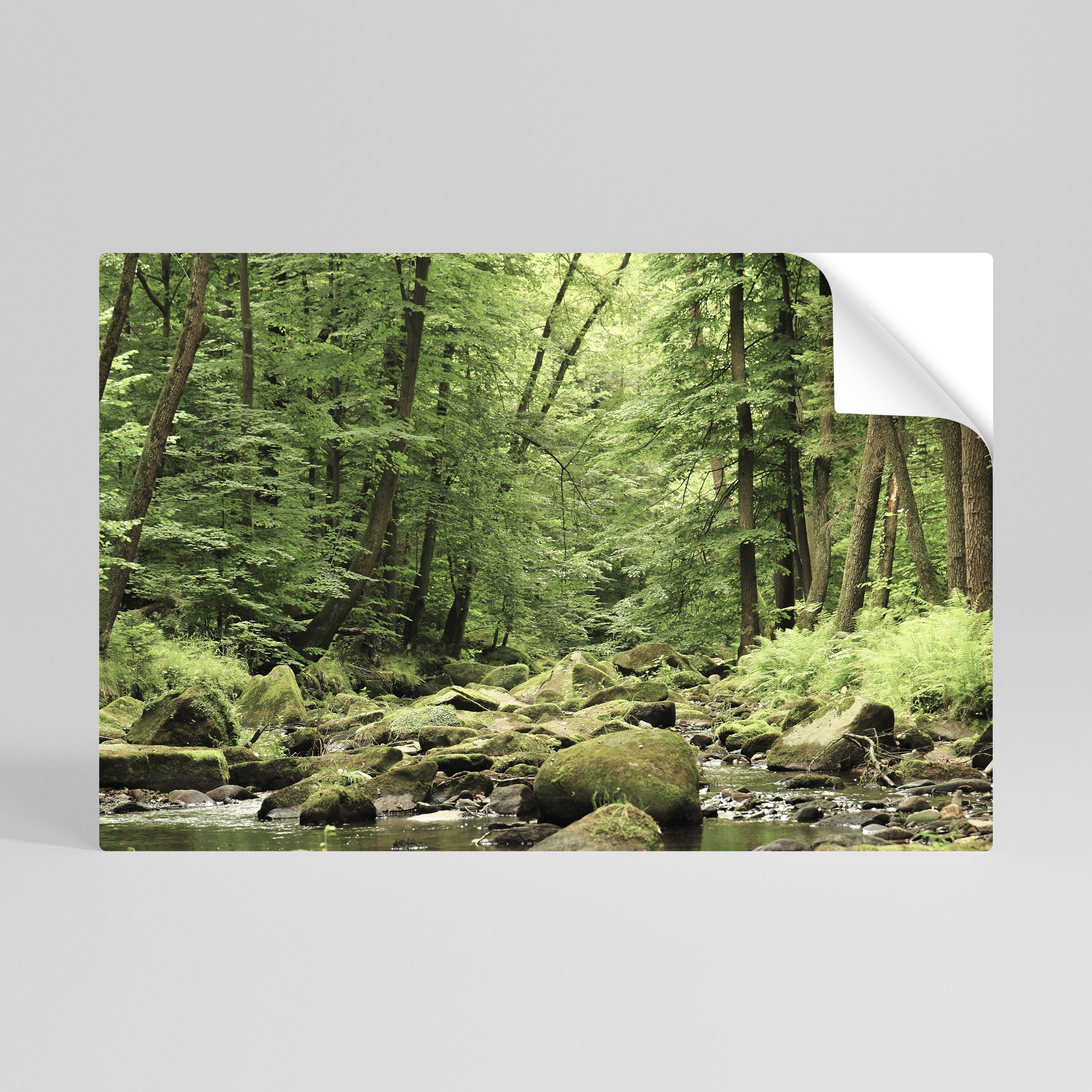 TRANQUIL STONES AND STREAMS Peel and Stick Horizontal Poster