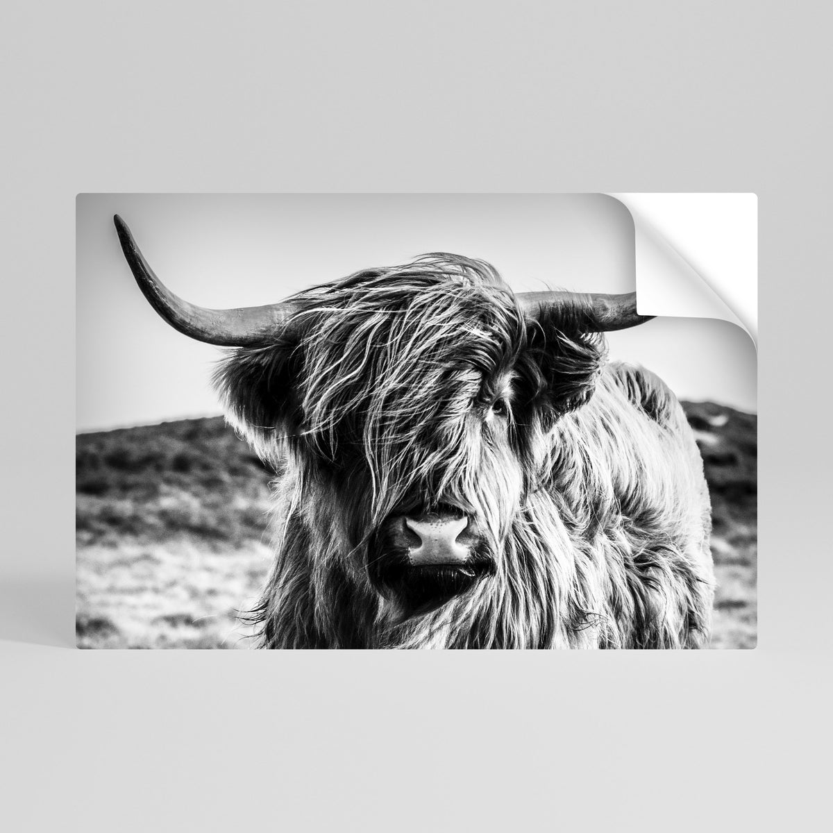 WILD SPIRIT REFLECTED Αυτοκόλλητη Αφίσα οριζόντια