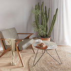 SINGLE SPRIG Coffee Table