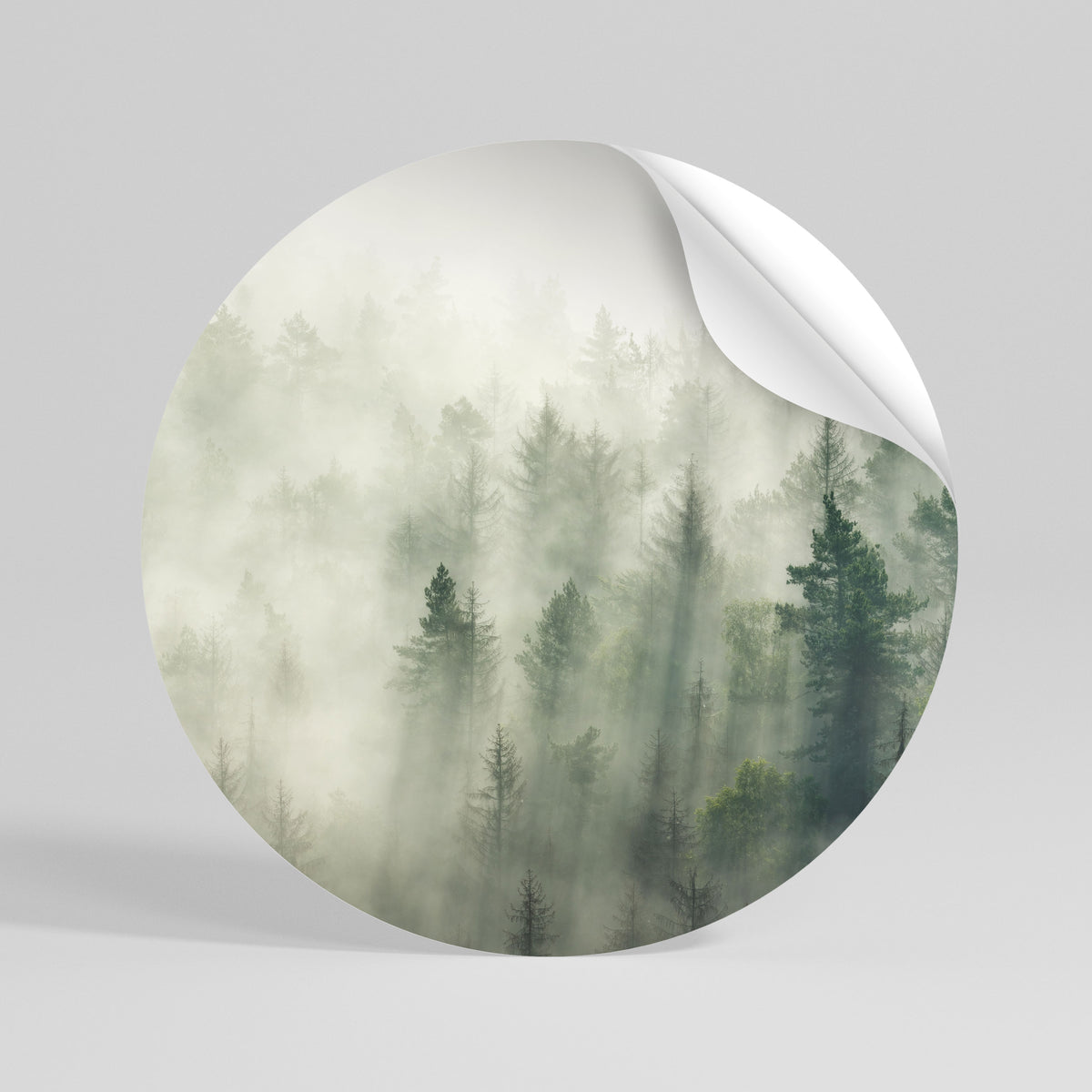 MISTY FOREST Αυτοκόλλητη Αφίσα στρογγυλή