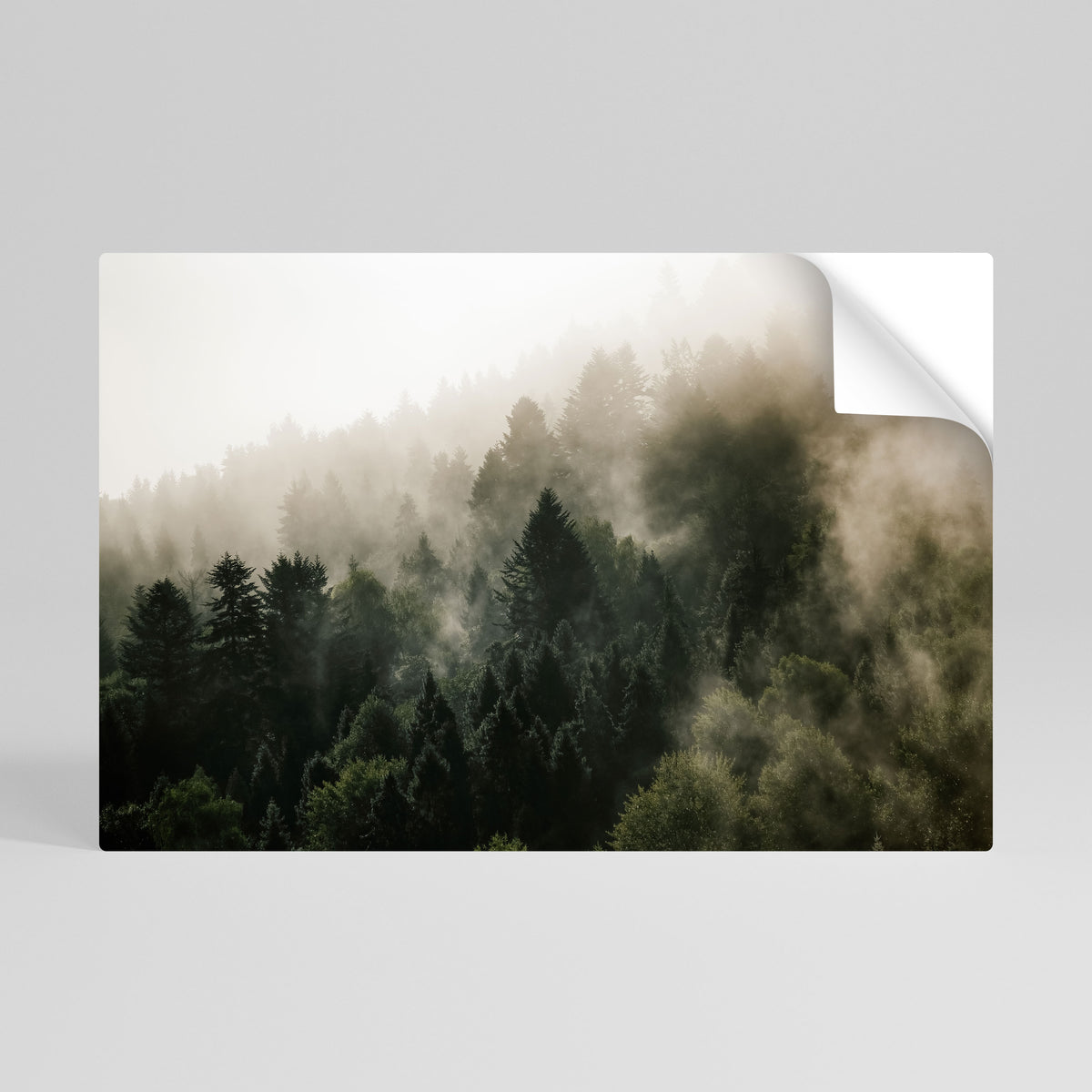 MISTY HIGHLANDS Αυτοκόλλητη Αφίσα οριζόντια