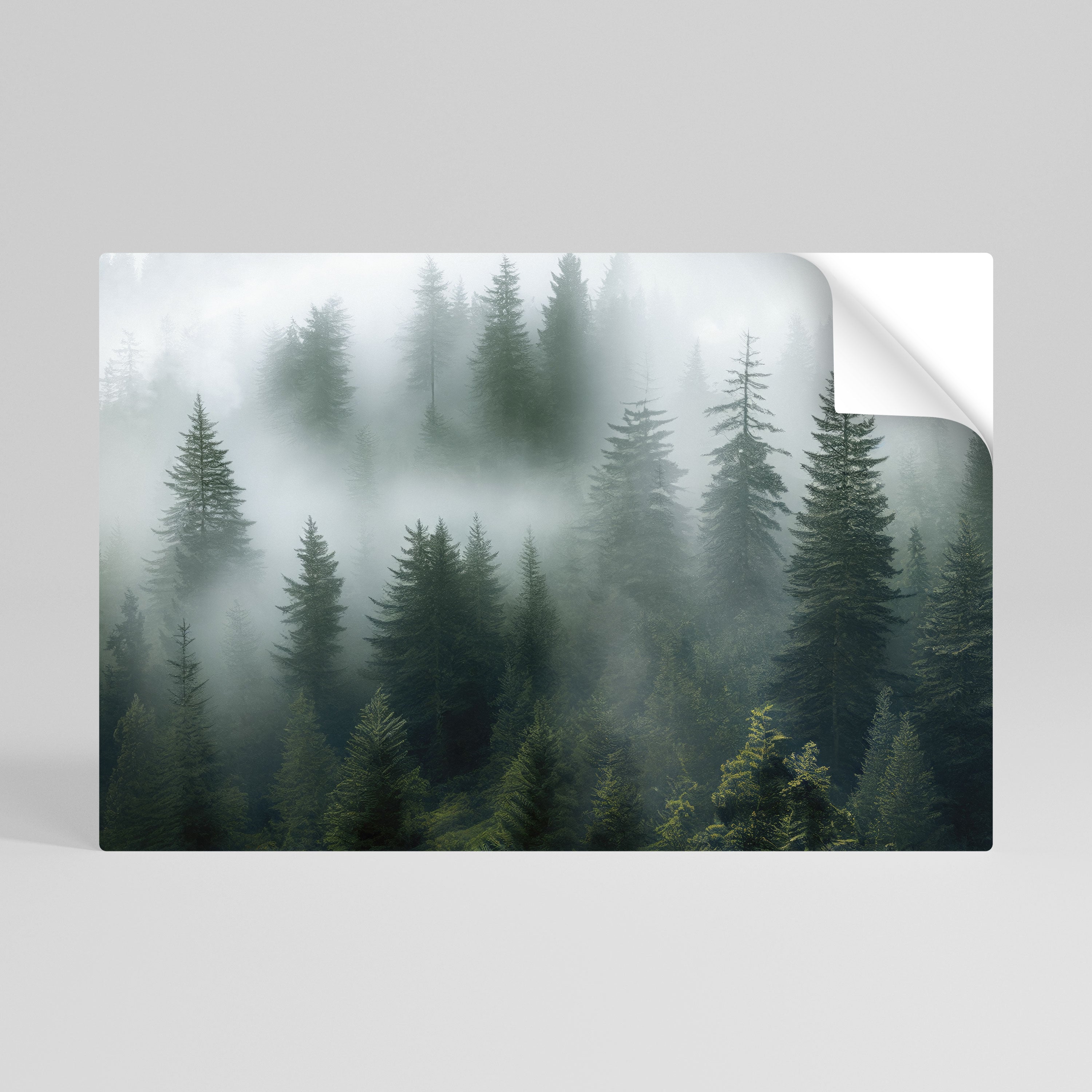 Οριζόντια αφίσα FOGGY CREST με ξεφλουδισμένο και κολλημένο σχέδιο