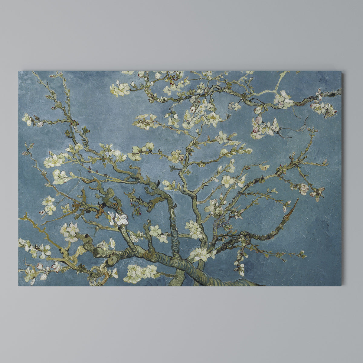 ALMOND BLOSSOM Horizontal Canvas Print