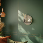 SCREEN ERROR Art Shelf