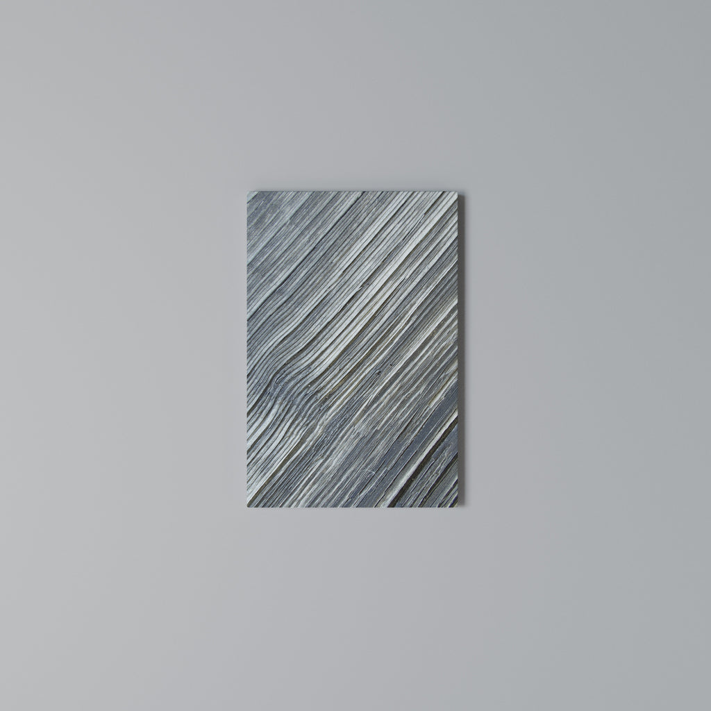 NATURE’S RIBBON RELIC Κατακόρυφος Πίνακας σε Καμβά