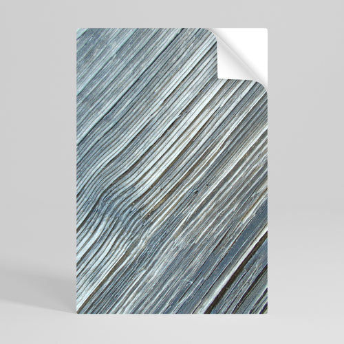 NATURE’S RIBBON RELIC Αυτοκόλλητη Αφίσα κάθετη