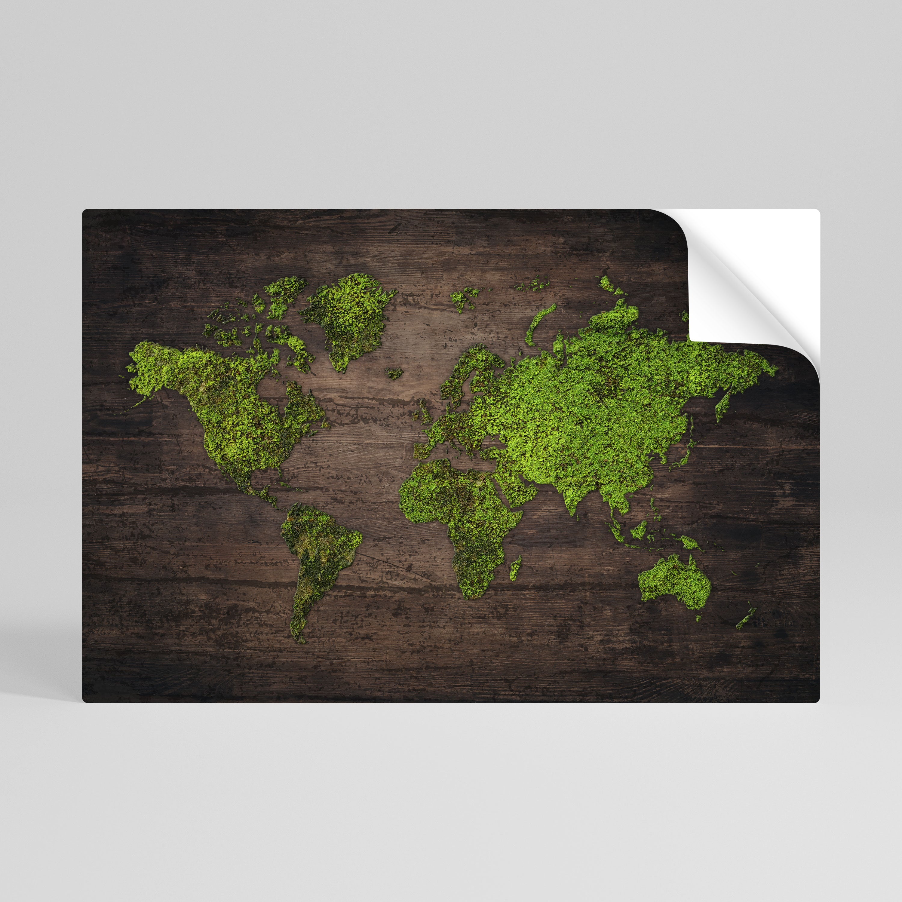 GREEN EARTH VISION Peel and Stick Horizontal Poster