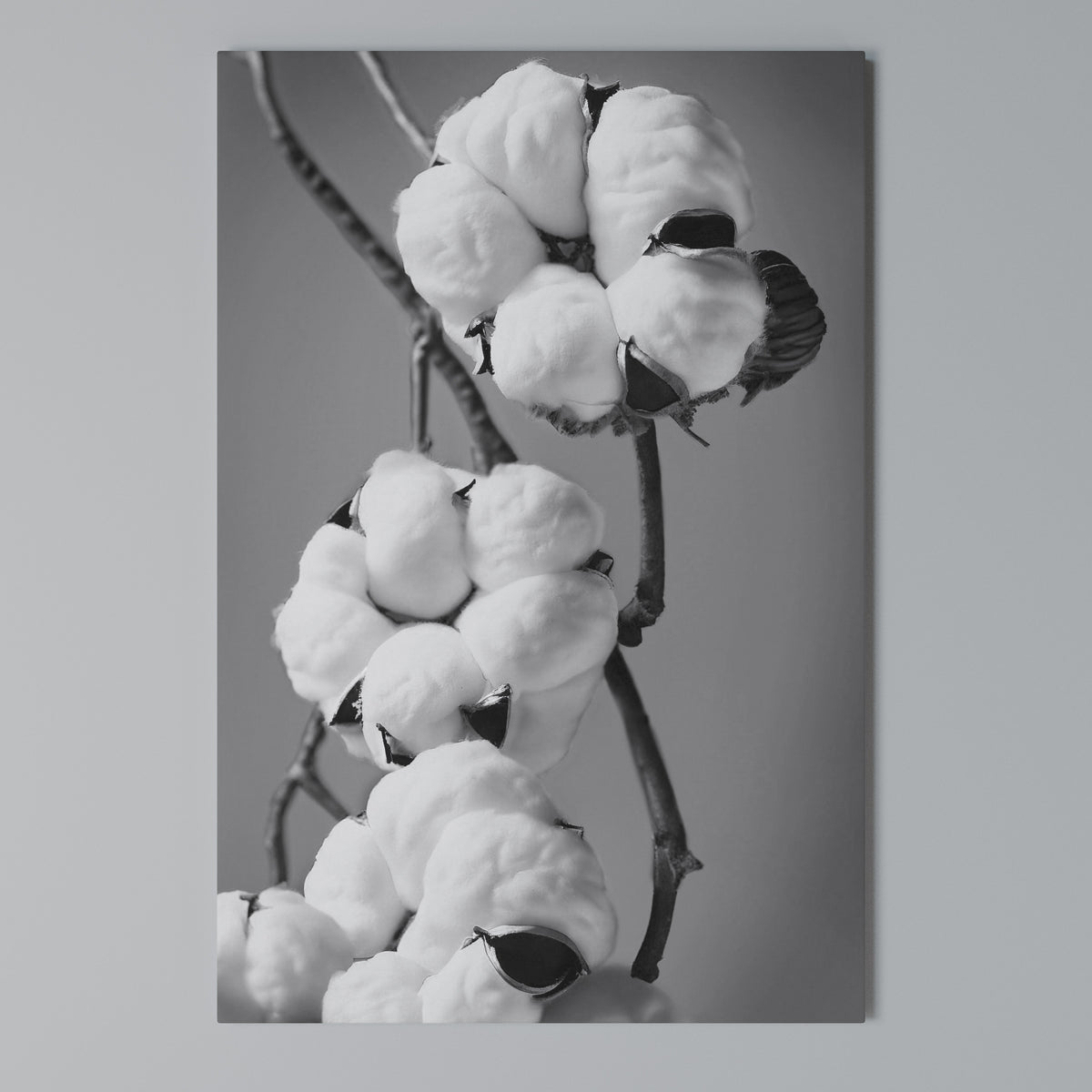 COTTON DREAMSCAPE Κατακόρυφος Πίνακας σε Καμβά