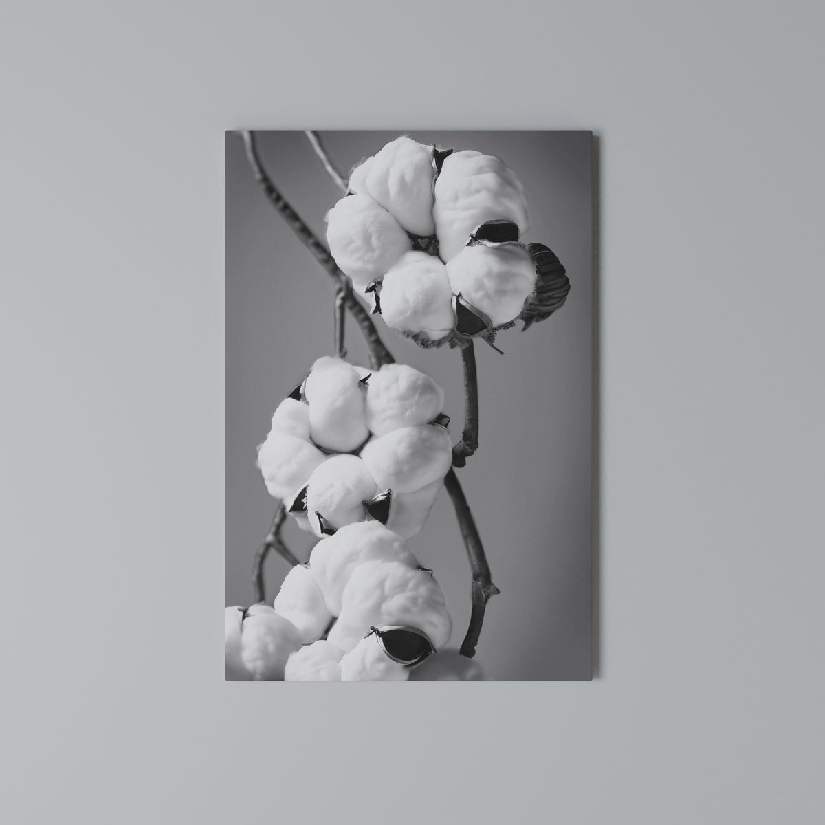 COTTON DREAMSCAPE Κατακόρυφος Πίνακας σε Καμβά
