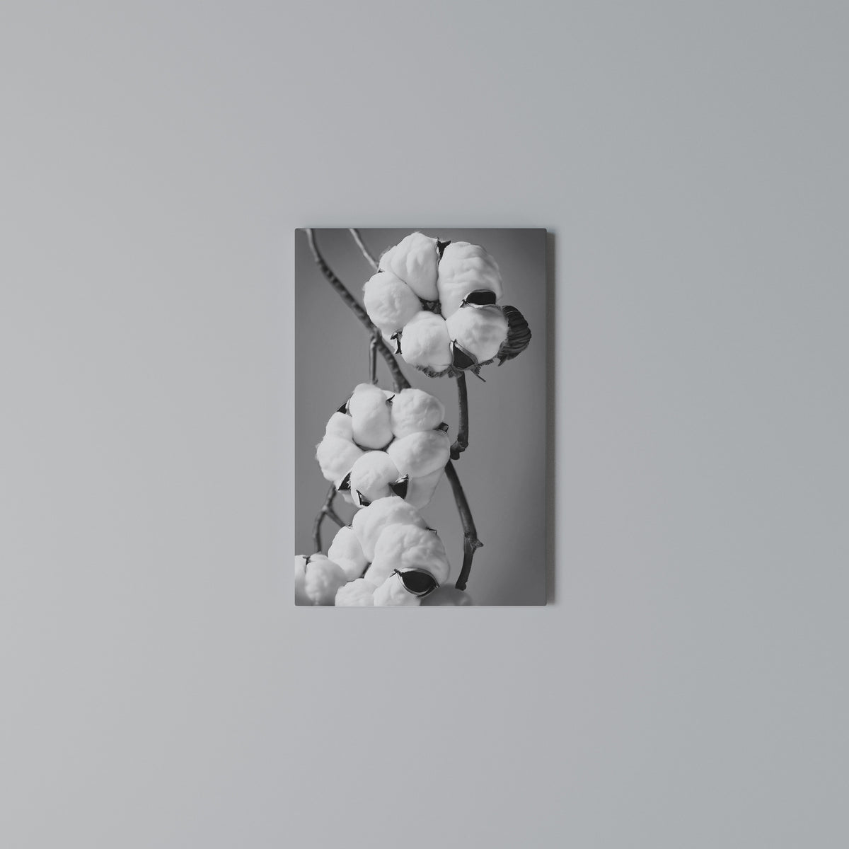 COTTON DREAMSCAPE Κατακόρυφος Πίνακας σε Καμβά