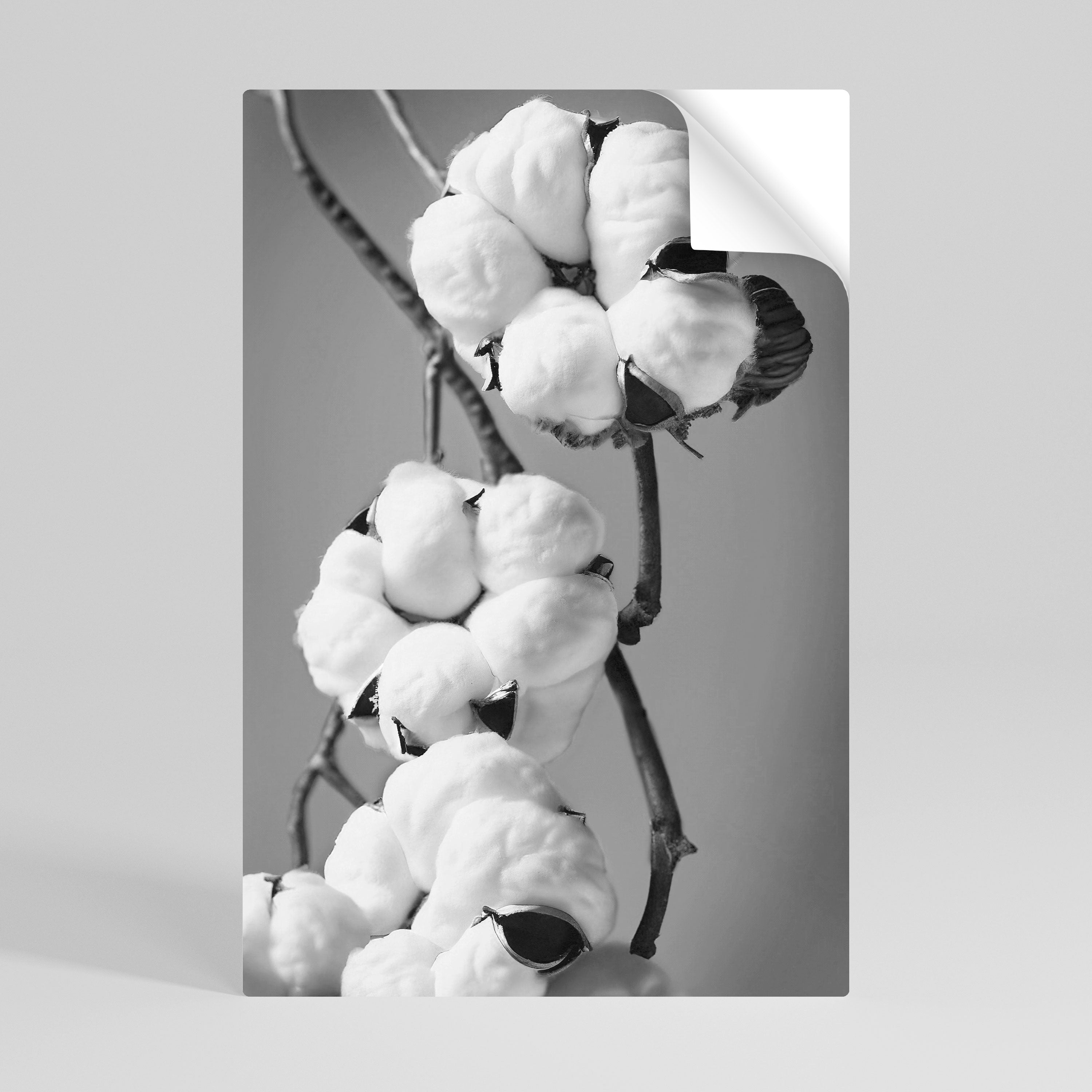 COTTON DREAMSCAPE Αυτοκόλλητη Αφίσα κάθετη