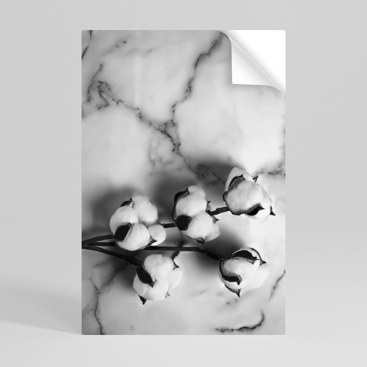 MONOCHROME COTTON DREAMS Αυτοκόλλητη Αφίσα κάθετη