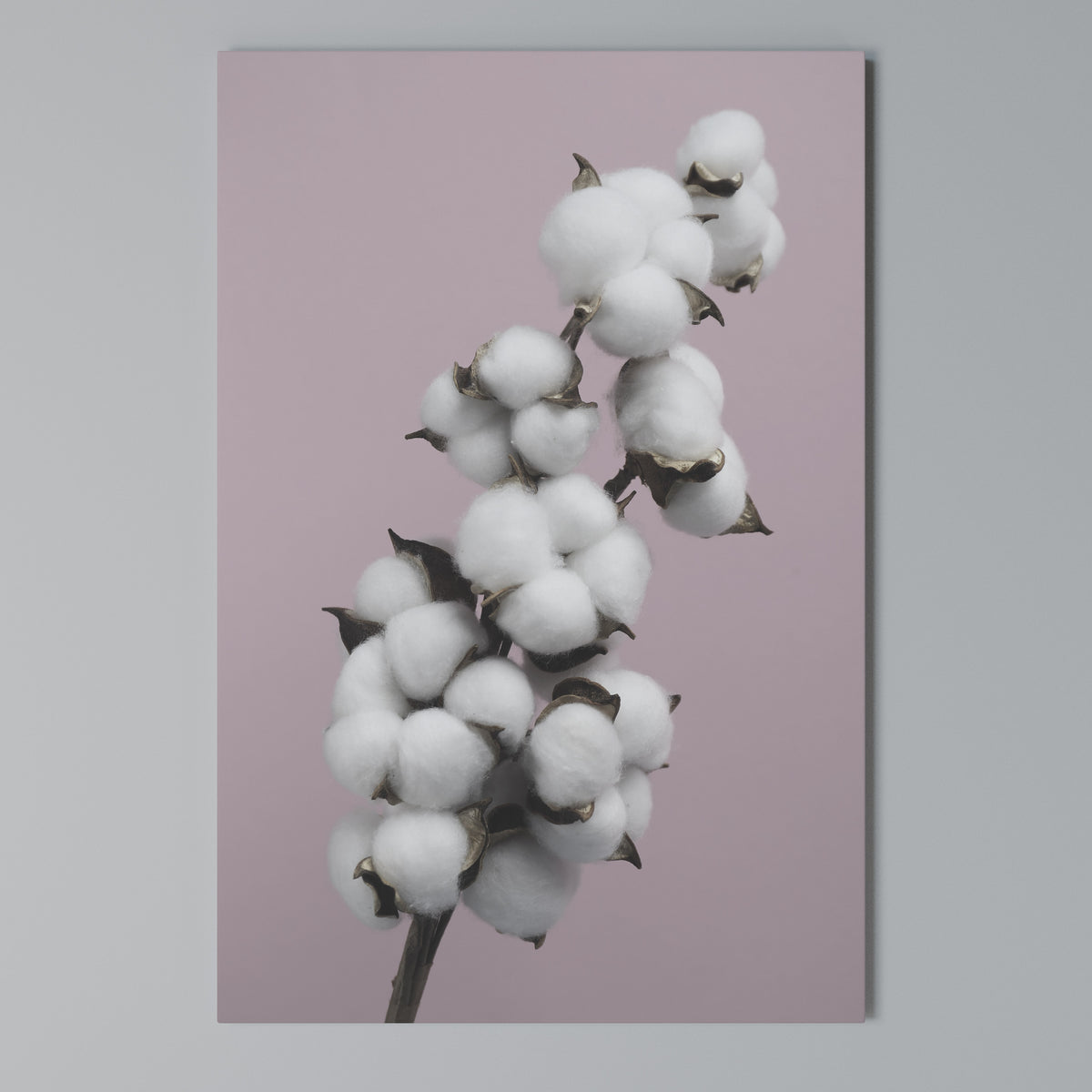 COTTON CLOUDS WHISPER Κατακόρυφος Πίνακας σε Καμβά