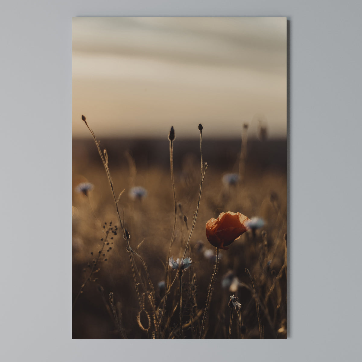 GLOWING MEADOWS AT DUSK Κατακόρυφος Πίνακας σε Καμβά