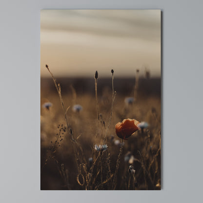 GLOWING MEADOWS AT DUSK Κατακόρυφος Πίνακας σε Καμβά
