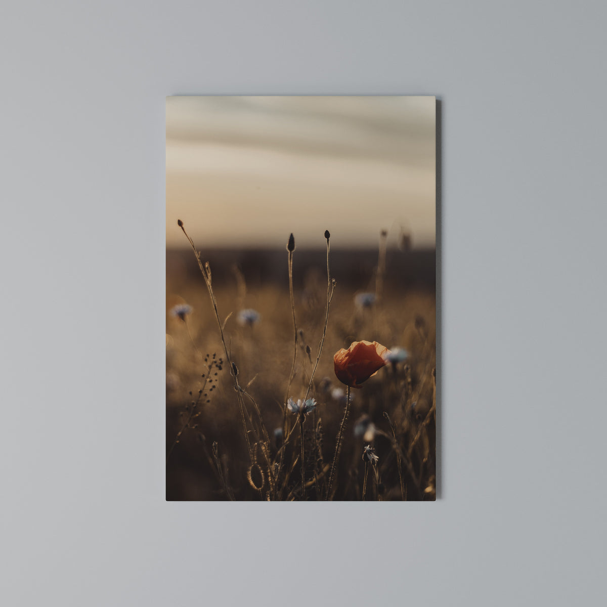 GLOWING MEADOWS AT DUSK Κατακόρυφος Πίνακας σε Καμβά