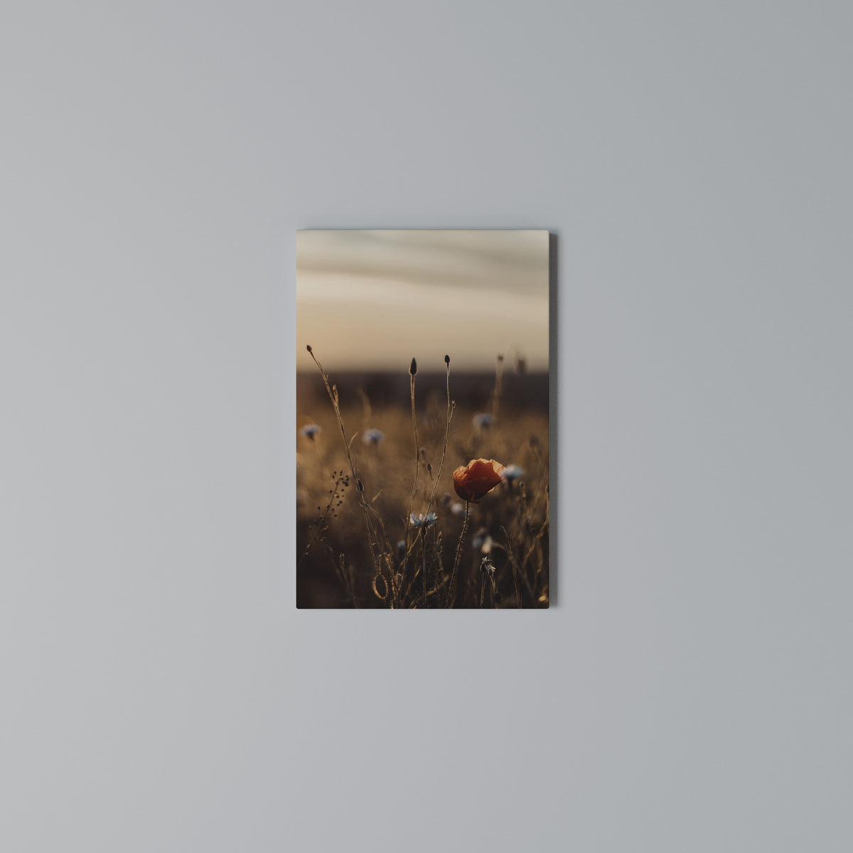 GLOWING MEADOWS AT DUSK Κατακόρυφος Πίνακας σε Καμβά