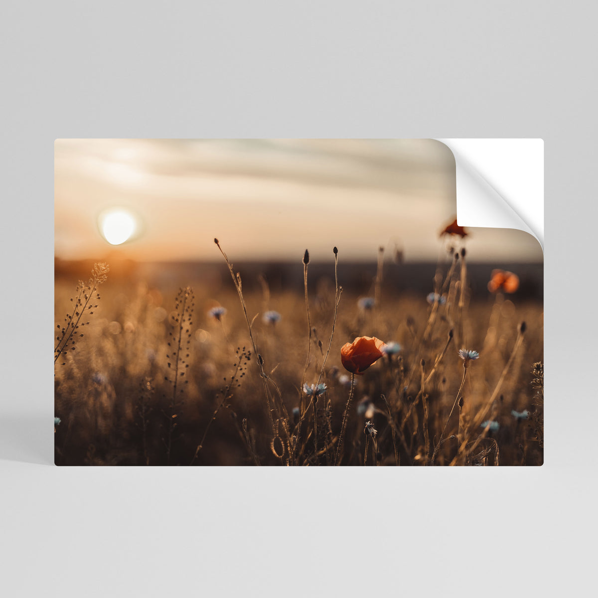 GLOWING MEADOWS AT DUSK Αυτοκόλλητη Αφίσα οριζόντια