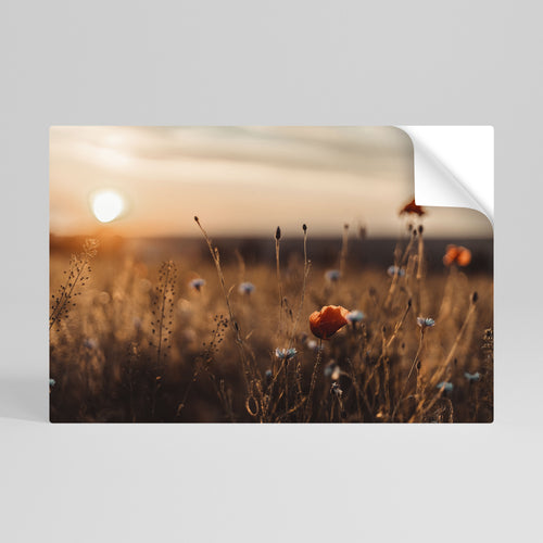 GLOWING MEADOWS AT DUSK Αυτοκόλλητη Αφίσα οριζόντια