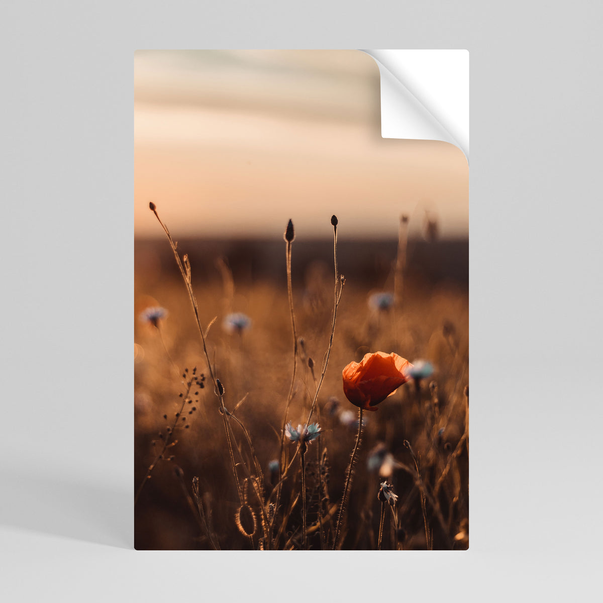 GLOWING MEADOWS AT DUSK Αυτοκόλλητη Αφίσα κάθετη