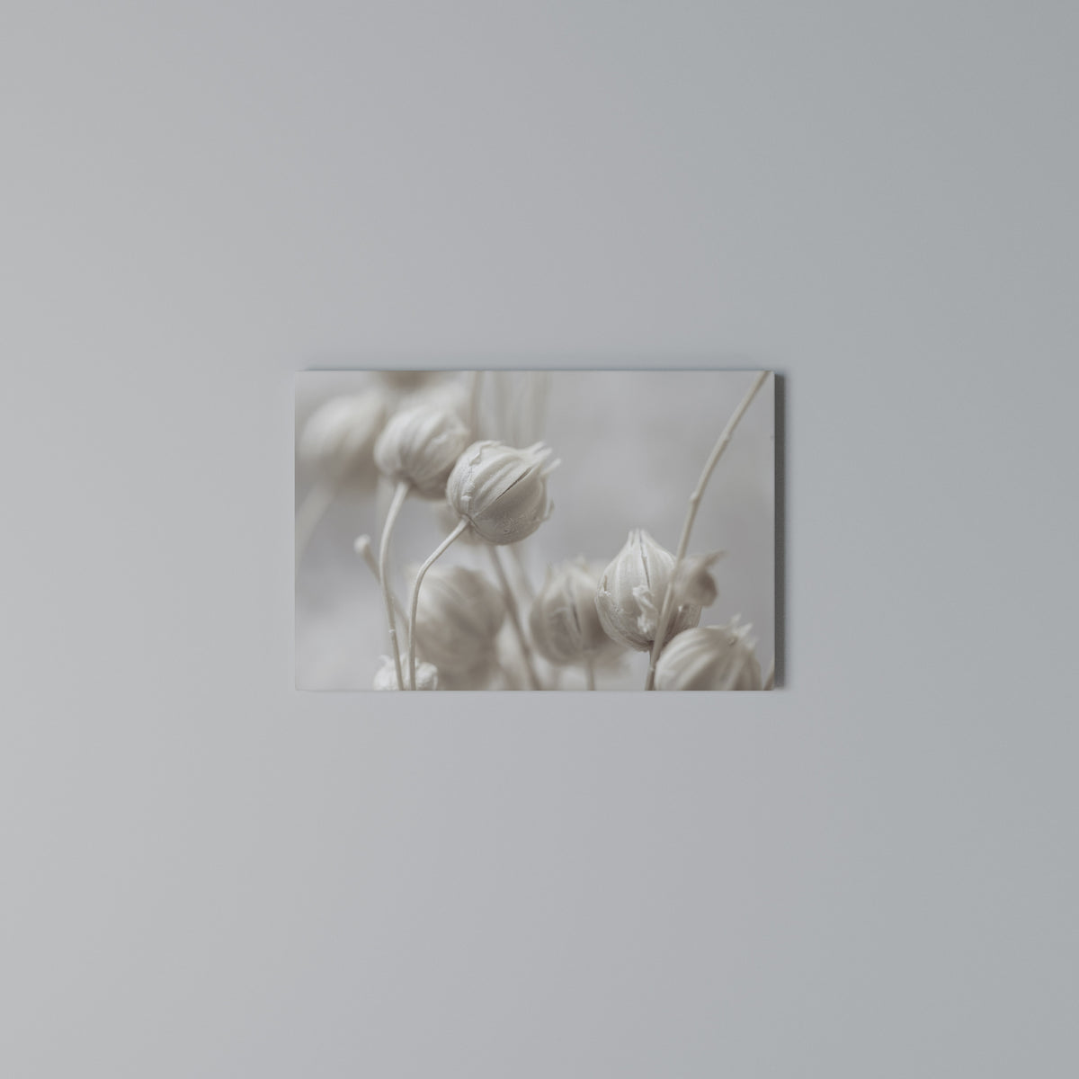 MYSTICAL BOTANICAL BLUSH Horizontal Canvas Print
