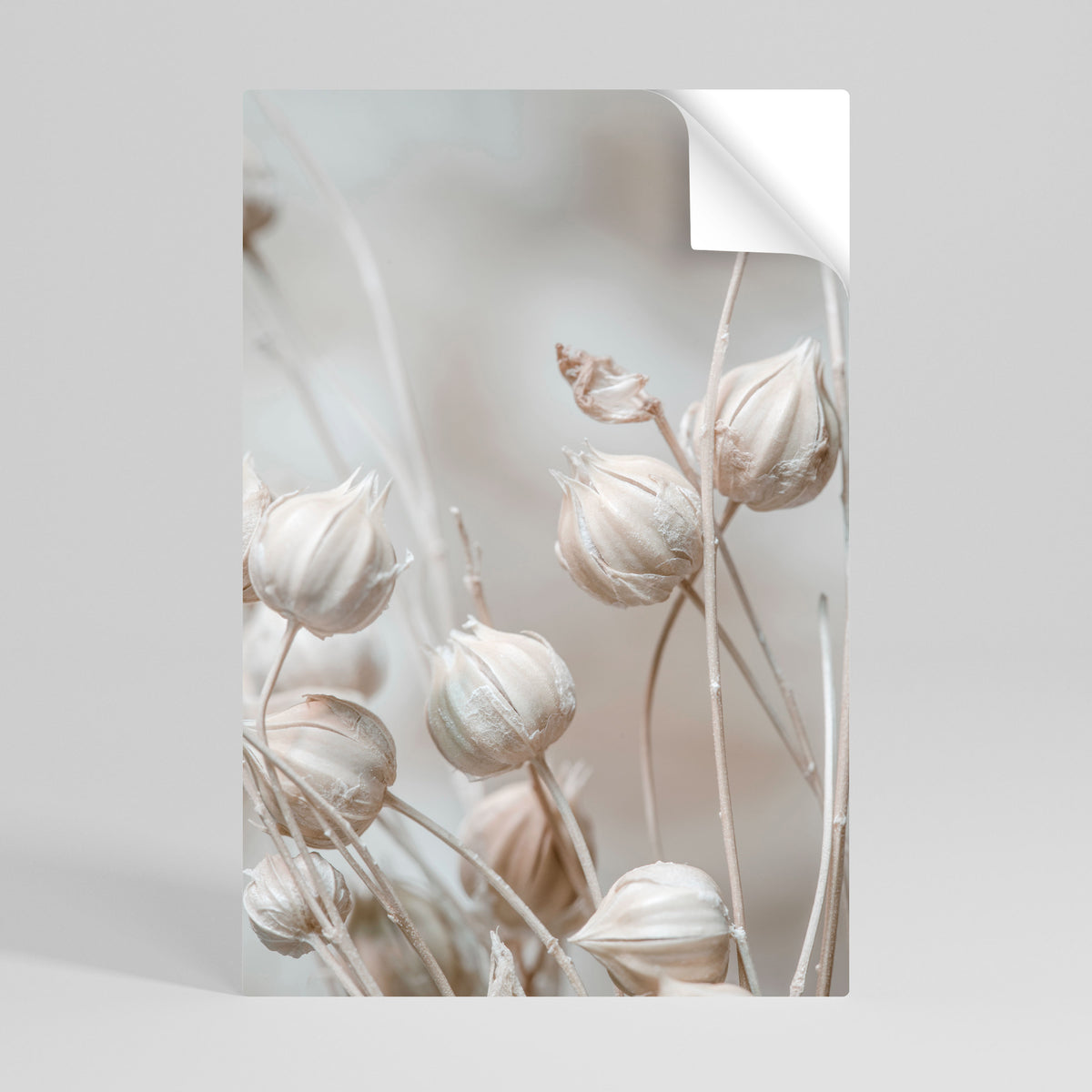 TRANQUIL BLOOMING VISION Αυτοκόλλητη Αφίσα κάθετη