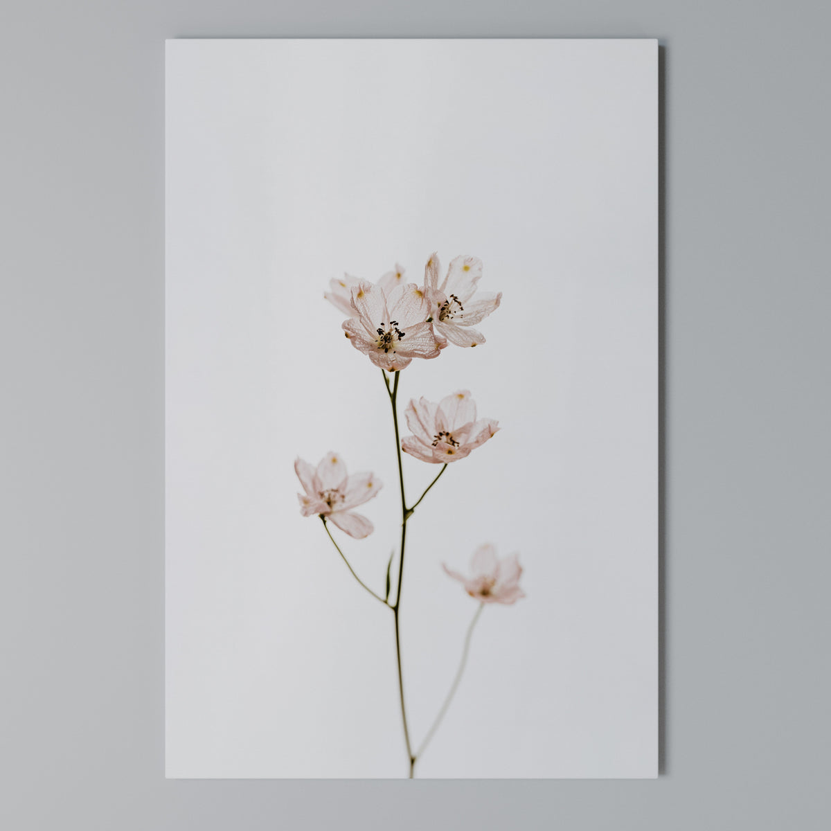 WHISPERS OF PINK Κατακόρυφος Πίνακας σε Καμβά