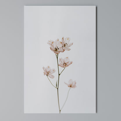 WHISPERS OF PINK Κατακόρυφος Πίνακας σε Καμβά